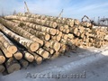 Березовый фанкряж (пиловочник).